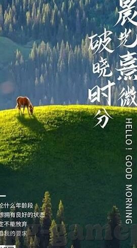 拉脱维亚女子足球比分-拉脱维亚女子足球，比分背后的拼搏与成长故事